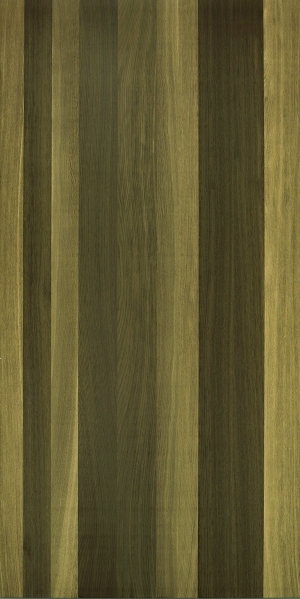 ModernWood Texture