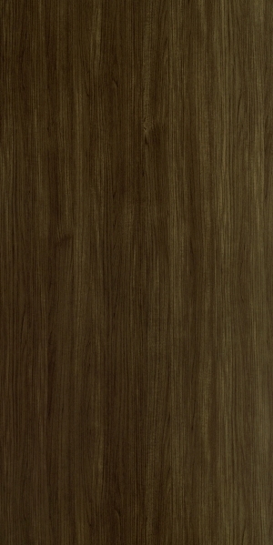 ModernWood Texture