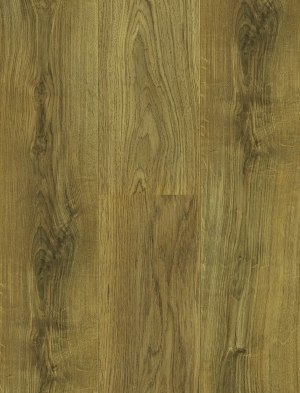 ModernWood Texture