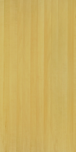 ModernWood Texture