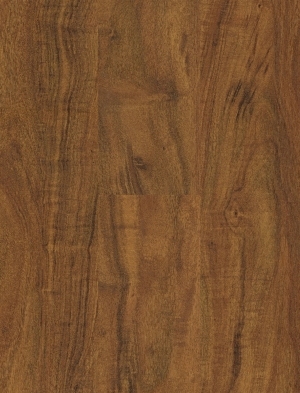 ModernWood Texture