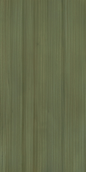 ModernWood Texture
