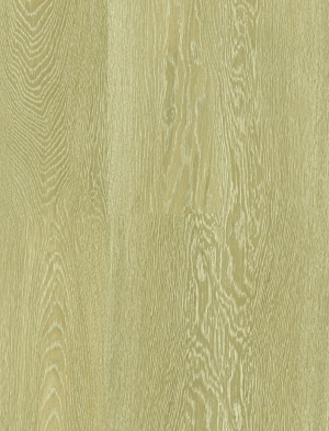 ModernWood Texture