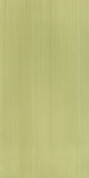 现代木纹-ID:872194057