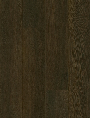 ModernWood Texture