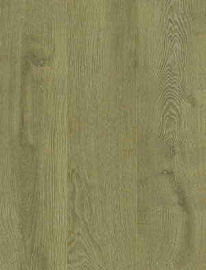 ModernWood Texture