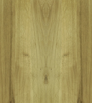 ModernWood Texture