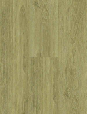ModernWood Texture