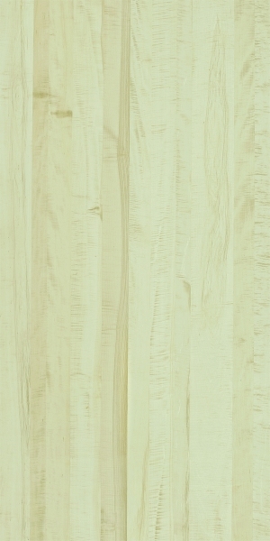 ModernWood Texture