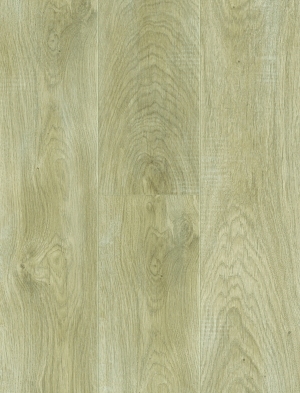 ModernWood Texture