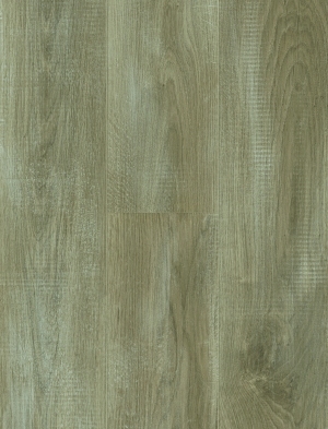 ModernWood Texture