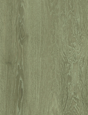 ModernWood Texture