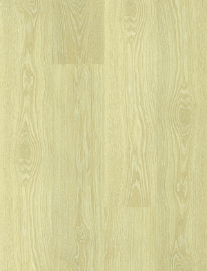 ModernWood Texture