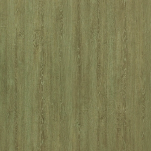 ModernWood Texture