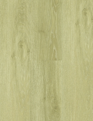 ModernWood Texture
