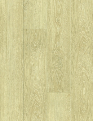 ModernWood Texture