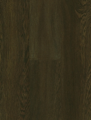 ModernWood Texture