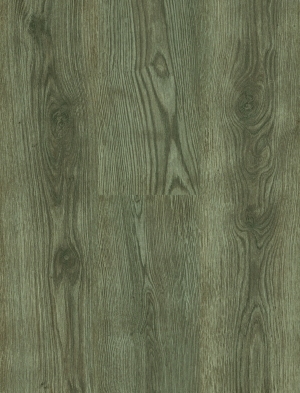ModernWood Texture