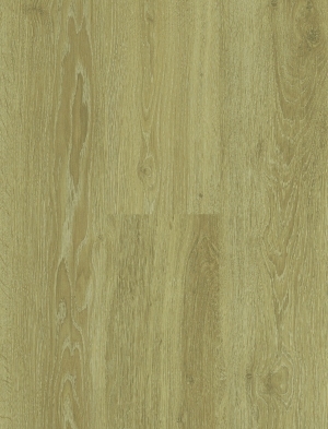 ModernWood Texture