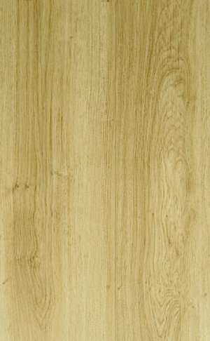ModernWood Texture