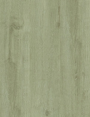 ModernWood Texture