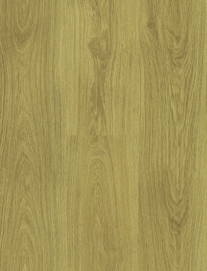 ModernWood Texture
