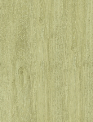 ModernWood Texture