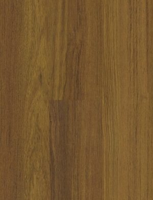 ModernWood Texture