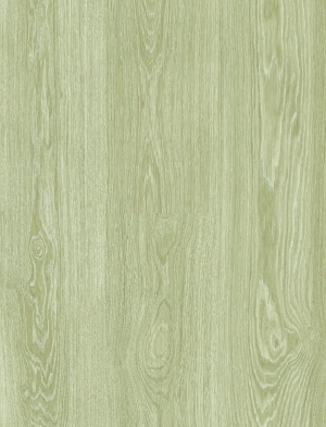 ModernWood Texture