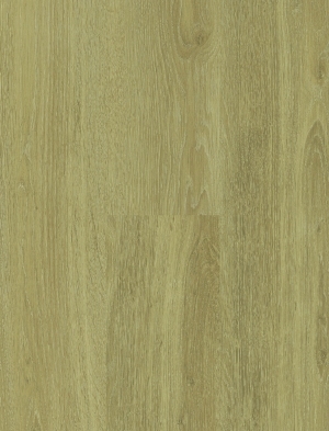ModernWood Texture