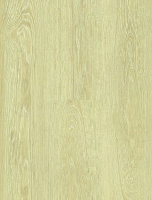 ModernWood Texture