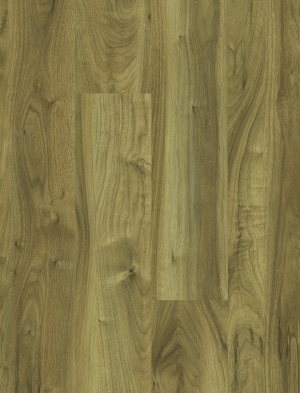 ModernWood Texture