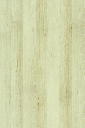 ModernWood Texture