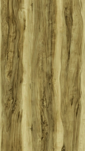 ModernWood Texture