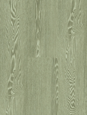 ModernWood Texture