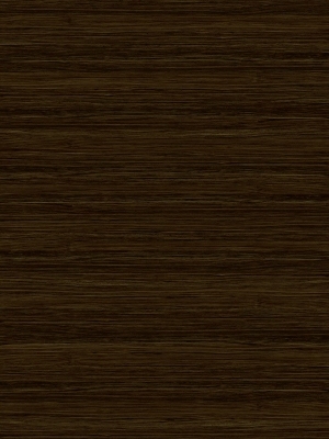 ModernWood Texture