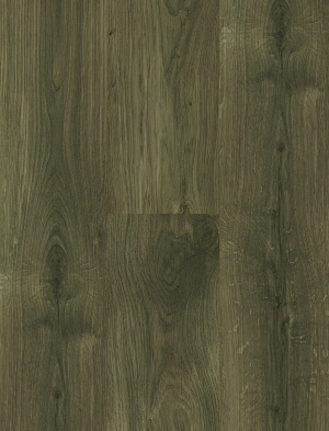 ModernWood Texture