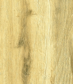 ModernWood Texture