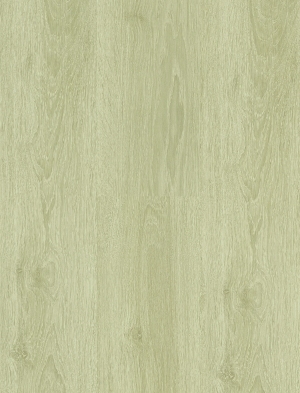 ModernWood Texture