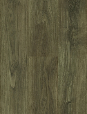ModernWood Texture