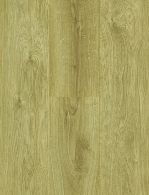 ModernWood Texture
