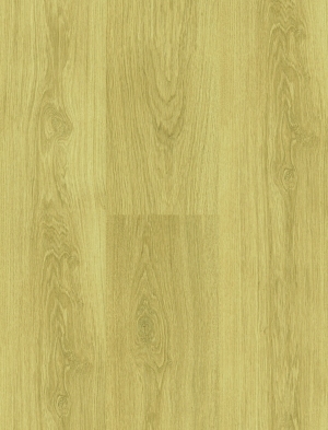 ModernWood Texture