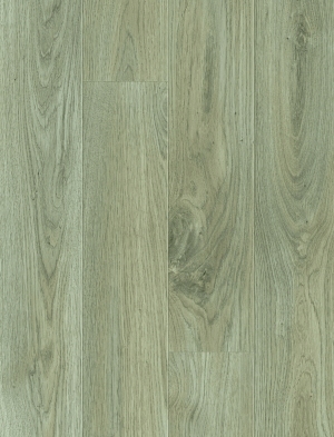 ModernWood Texture