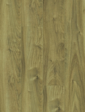 ModernWood Texture