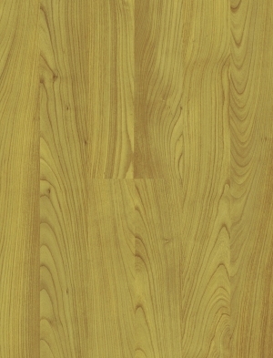 ModernWood Texture