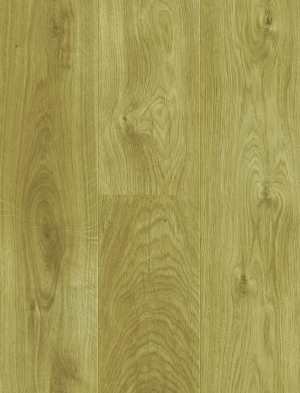 ModernWood Texture