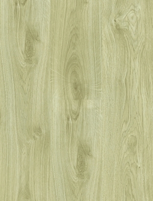 ModernWood Texture
