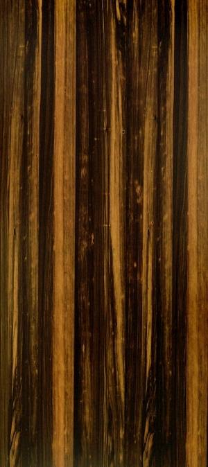 ModernWood Texture