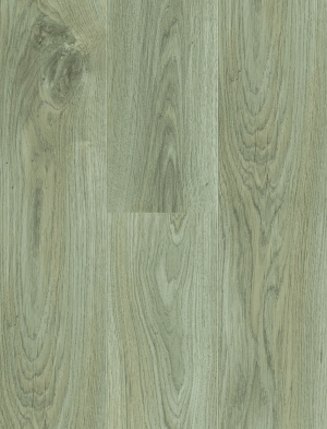 ModernWood Texture