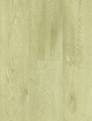 ModernWood Texture
